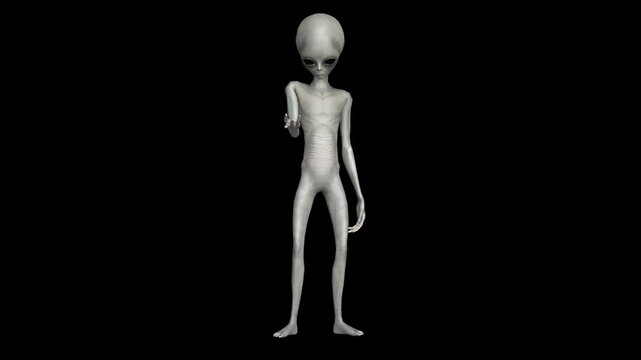 Cinematic Super-Realistic Gray Alien 3D Motion Pack with Advanced Humanoid Gestures, Subtle Behavioral Animation, High-End Sci-Fi Movement Design, Professional Production Quality
