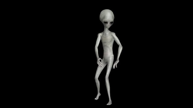 Ultra-Realistic Gray Alien 3D Animation Pack with Advanced Humanoid Gestures, Subtle Motion Psychology, Cinematic Body Language, Precision Movement Loops, Professional-Grade Sci-Fi Character Animation