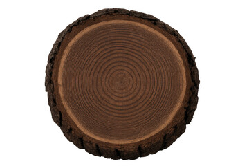 Tree stump cross section presenting concentric growth rings on a brown wooden texture with jagged bark, transparent background