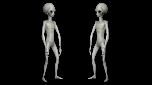 Ultra-Realistic Gray Alien 3D Animation Pack with Advanced Humanoid Gestures, Subtle Motion Psychology, Cinematic Body Language, Precision Movement Loops, Professional-Grade Sci-Fi Character Animation