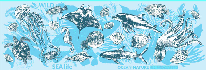 Vector sea animals background set. Ink sketch and silhouettes of whale, dolphin, shark, octopus, crab, lobster, sea horse, sea turtle, jellyfish, starfish, manta, eagle ray, nautilus, coral fish. 