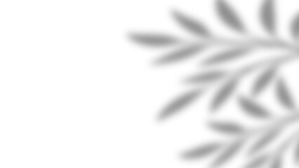 Obraz premium Realistic natural tree leaves shadow overlay effects on wall. Tropical tree branches and leaves blur and gray shadow overlay effect for photo interior backdrop studio mockup. Vector illustration.