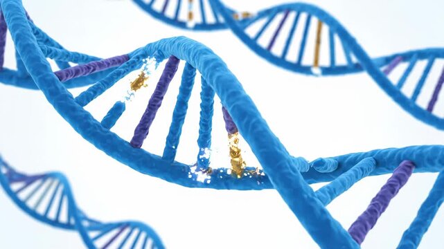 DNA Damage and Repair - A Visual Representation of Genetic Integrity.