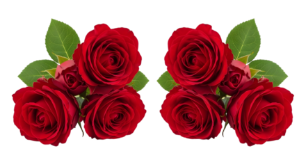 Two vibrant red roses with green leaves a repeating floral pattern isolated on transparent background
