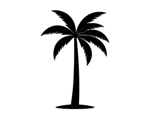 Silhouette of a Palm Tree.