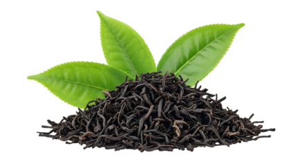 Pile of black tea leaves with fresh green tea leaves on top isolated on transparent background
