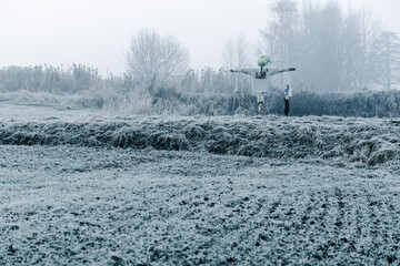 Mglisty zimowy poranek nad polami w szronie © Elżbieta Kaps