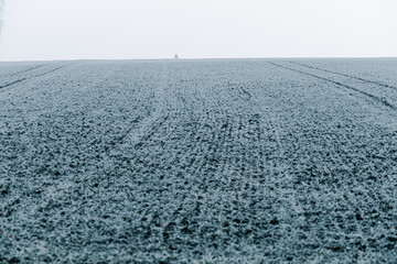 Mglisty zimowy poranek nad polami w szronie © Elżbieta Kaps