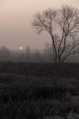 Mglisty zimowy wschód słońca nad stawem © Elżbieta Kaps