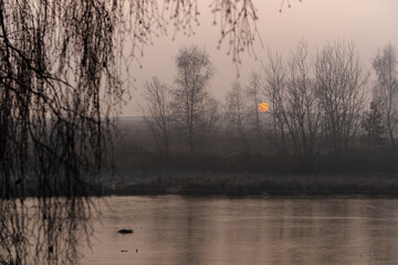 Mglisty zimowy wschód słońca nad stawem © Elżbieta Kaps