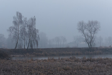 Mglisty zimowy wschód słońca nad stawem © Elżbieta Kaps