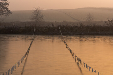 Mglisty zimowy wschód słońca nad stawem © Elżbieta Kaps