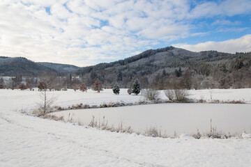 Snow on golf course landscape in winter with forest in background, copy space