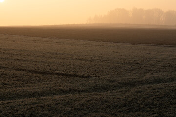 Mglisty zimowy poranek nad polami w szronie © Elżbieta Kaps