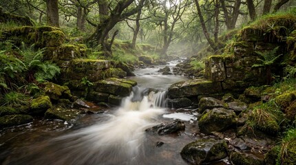 Obraz premium Misty forest stream cascading over mossy rocks. Lush woodland waterfall in dense green trees. Serene nature landscape evoking tranquility and environmental beauty.