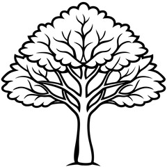 Obraz premium Locust tree line art vector