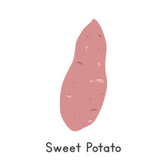 Sweet Potato Vector Illustration. Sweet Potato Cartoon Clipart, Cegetable in Flat Style. Also called Sweetpotato, Yam, Kumara, Camote, Batata, Ipomoea batatas. Tuber, Vegetable Concept