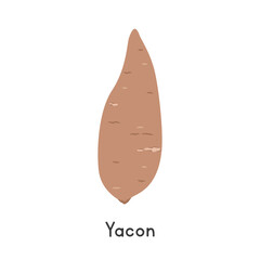 Yacon Vector Illustration. Yacon Cartoon Clipart, Vegetable in Flat Style. Also called Peruvian Ground Apple, Bolivian Sunroot, or Smallanthus sonchifolius. Tuber, Vegetable Concept. Common Vegetable 