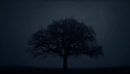 Silhouette of a Tree against a Night Sky with Faint Stars and a Muted Blue Atmosphere.