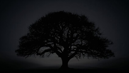 Silhouette Of A Sprawling Tree Against A Dim, Mysterious Backdrop Serene Darkness.