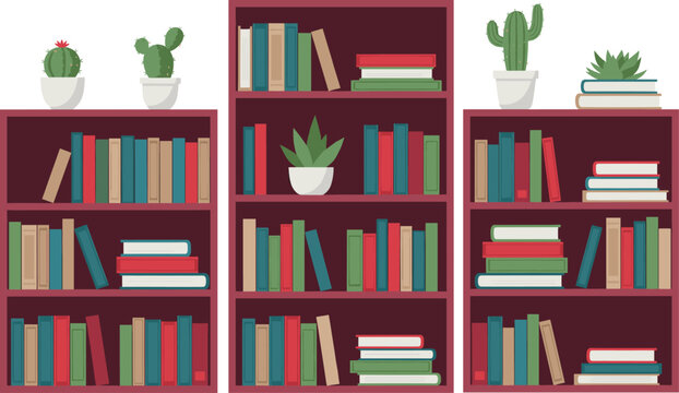 Flat vector illustration of modern wooden bookshelves filled with colorful books and potted succulent plants for home office and library interior designs.