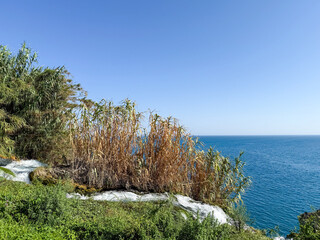 Coastal View of the Turkish Riviera Featuring a Wooden Railing, Lush Greenery, and Modern City Buildings Along the Deep Blue Mediterranean Sea