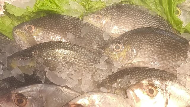 Fresh fish on ice display at seafood market with lettuce garnish