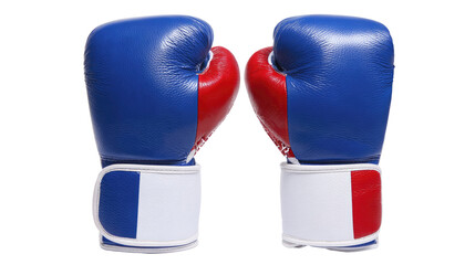 Pair of Boxing Gloves