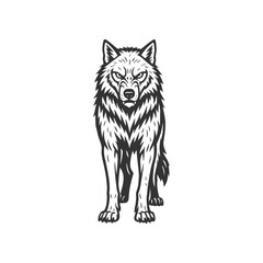 Wolf Vector Shadow Drift Angle