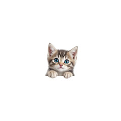 Adorable small tabby kitten with striking blue eyes peeking over a surface on transparent background