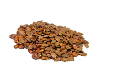 Fototapeta premium Apfelkerne vor weißem Hintergrund