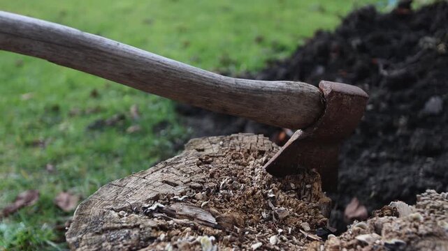 Rustic axe stuck in oak stump with natural light illuminating work area