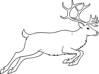 Detailed line art of reindeer illustration
