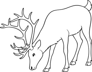 Detailed line art of reindeer illustration