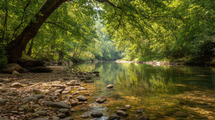 Naklejka premium Sunlight streams through a lush green forest canopy illuminating a tranquil river flowing gently over rocks on a peaceful summer morning landscape scene.