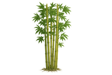 Obraz premium Bamboo grove growing with green stalks and leaves, representing nature, ecology, and asian culture on transparent background