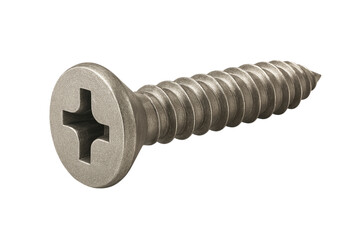 Close-up of a Metal Cross-Head Screw