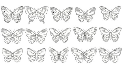 Set of Elegant Butterfly Line Drawings for Nature and Wildlife Designs