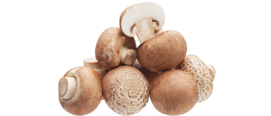 fresh mushrooms champignons, one whole and the other cut in half isolated on white