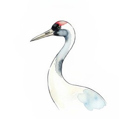 Naklejka premium Elegant Red-Crowned Crane Bird in Watercolor Style with Soft Blue and White Accents