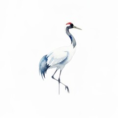 Naklejka premium Elegant Watercolor Crane Bird with Red Crown and Long Legs Standing Gracefully on One Foot