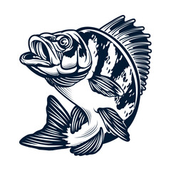 Bold graphic illustration of a jumping bass fish with open mouth in dark blue isolated on white background, Vector