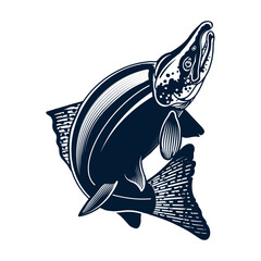 A captivating woodcut style illustration of a powerful salmon leaping gracefully upwards isolated on white background, Vector