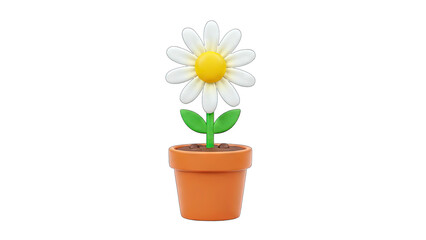 3D Rendered Daisy Flower in a Pot on White Background
