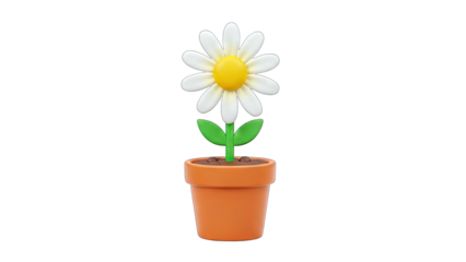 3D Rendered Daisy Flower in a Pot on White Background