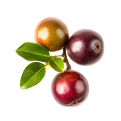 A vibrant camu-camu fruit isolated on a white background.