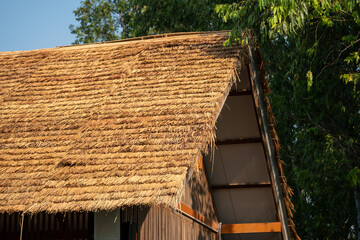 Traditional thatched roof construction in rural area cultural architecture natural environment