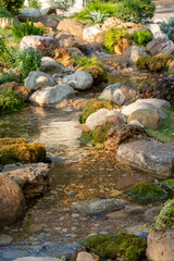 Tranquil stream flowing through lush greenery natural landscape serene environment calming view