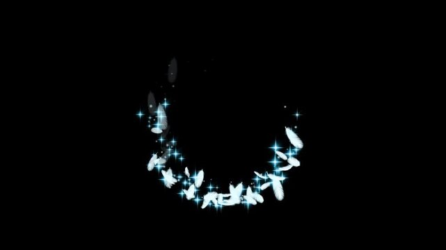 Circular Fluttering Feathers and Shooting Star Particles &ndash; 1 to 4 Revolutions (4-Video Set, Alpha Channel Included)
