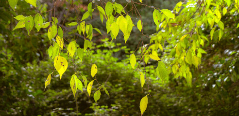 Paisaje de oto&ntilde;o